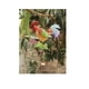 thumbnail image 3 of Mariposa Mini Campana Y Vitral Colgante PB-B3, 3 of 3