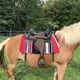 thumbnail image 5 of Manta para Silla Tahoe Tack 81x163 cm Navajo Acrílico, 5 of 6