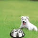 thumbnail image 3 of Comedero perros/gatos 26cm plateado, 3 of 3