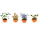 thumbnail image 2 of VIVARIUM TOYS BY NATURE Mini Terrario Pack de 7, Fabricado en EE. UU., 2 of 2