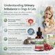 thumbnail image 2 of Gotas herbales para las vías urinarias PGOHI 60 ml para perros y gatos con glucosamina, 2 of 9