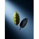 thumbnail image 2 of Extracto de Perfume SCENTSPIRED 50 ml Cuero y Cardamomo, 2 of 7