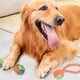 thumbnail image 5 of Paquete de 2 juguetes de tira y afloja para perros de raza pequeña, pelota con cuerda, cuerda con pelota para perros pequeños y medianos, juguete con pelota y cuerda para perros., 5 of 5