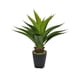 thumbnail image 1 of Agave 75cm Súper Realista, 1 of 3