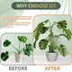 thumbnail image 5 of Carrito telescópico con forma de estacas para plantas, 3 piezas, ajustables de 45,5 a 107,5 cm, 5 of 6