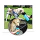 thumbnail image 5 of Dispensador Botella de Agua Perros, 5 of 6