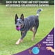 thumbnail image 4 of Goma natural Fetch Balls Chew King, extremadamente duradera, 3 cm, 4 of 8