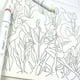 thumbnail image 3 of Libro para Colorear Criaturas Ocultas por Burhoy, 3 of 5