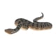 thumbnail image 4 of Simulación Animal Salvaje Modelo Figura Juguetes Estatuilla Decoración Para El Hogar Anaconda Verde, 4 of 5