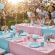 thumbnail image 3 of Set Decoración Fiesta Gender Reveal 50 Personas 1 un, 3 of 4