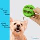 thumbnail image 2 of Pelotas Volacopets para Perro – Juguetes de Goma con Sonido, Dental y Cuerda (Pack de 4), 2 of 7