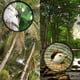 thumbnail image 3 of Capture Every Detail with Our High-Definition 16X52 Monocular Telescope - Perfect for Bird Watching, Camping, Travel, and Life Concerts. Use with Your Mobile Phone to Take Stunning Photos!, 3 of 4
