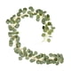 thumbnail image 2 of Faux Silver Dollar Guirnalda De Eucalipto Hojas Artificiales Decoración Verde, 2 of 5