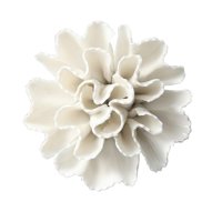 Bothyi - Colgante De Pared 3D Flores De Cerámica Artesanía Colgante Artificial Decoración Clavel 8 Cm
