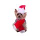 thumbnail image 1 of Set Mascota Gorro Y Bufanda Santa Navidad, 1 of 1
