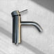 thumbnail image 1 of Grifo/Monomando Para Baño Apollo En Acero Inoxidable, 1 of 3