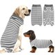 thumbnail image 1 of Traje de recuperación PELUKOA para perros y gatos después de cirugía gris XXXL, 1 of 7