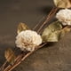 thumbnail image 5 of Ramo varas mix flores preservado crema 90 cm, 5 of 6