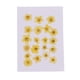 thumbnail image 4 of 20x amarillo natural real prensado flores secas diy artes artesanales suministro 1.2-2cm, 4 of 5