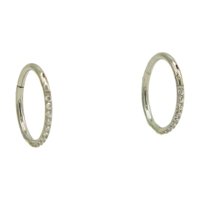 Elbauldejuma - Argollas Huggies 8Mm 16G Titanio F136 Circonio