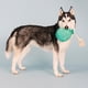 thumbnail image 5 of Juguete de peluche para perros Fringe Studio I Pawty You Pawty Pet Shop, 5 of 6