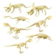 thumbnail image 4 of 7 Modelos De Esqueleto De Dinosaurio Triceratops Juguetes De Aprendizaje Para Cumpleaños Para Niños, 4 of 5