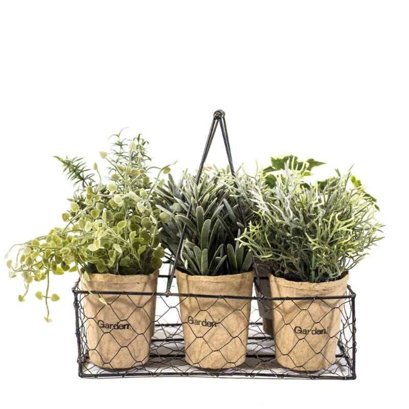 The Garden - Planta Decorativa Decorativas 6 Canasto Metalico
