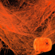 thumbnail image 3 of Telaraña Decorativa con Araña 20gr Halloween Naranja, 3 of 3