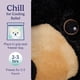 thumbnail image 5 of Animal de peluche Warmies Black Bear, apto para microondas y pesado, 5 of 6
