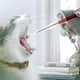 thumbnail image 2 of Jeringa Para Medicamentos Perros Y Gatos Rojo, 2 of 3