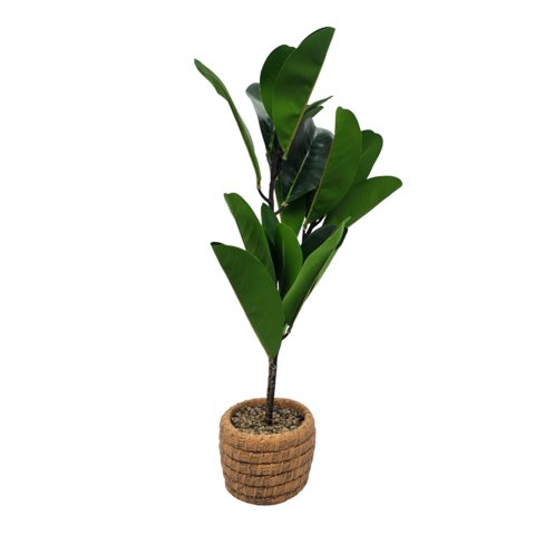 Fliperex - Planta Artificial Macetero De Cemento Naranjo Hojas Verdes Blanco