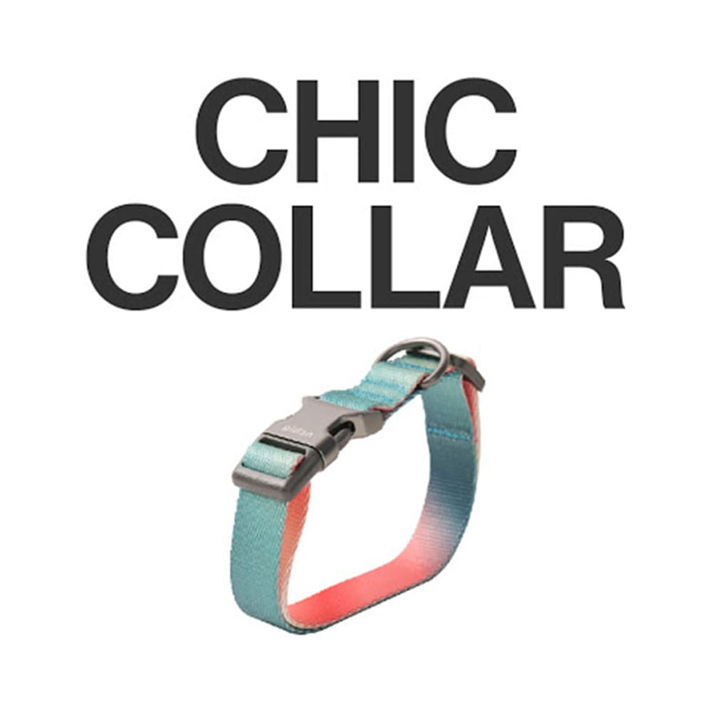 Collar Para Perro Resistente Y Ajustable - Pidan®