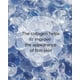 thumbnail image 3 of Espuma limpiadora Mary&May White Collagen 150 ml con niacinamida, 3 of 7