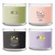 thumbnail image 1 of Vela Yankee Candle 38 ml Brisa Tropical - Pack de 4, 1 of 9