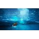 thumbnail image 3 of Videojuego Spirit of The North PlayStation 5 Standard Edition, 3 of 7