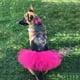thumbnail image 3 of Disfraz de perro y gato para mascota, tutú, fiesta de animales, falda de tul, 3 of 8