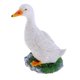 thumbnail image 5 of Jardín Regalo Granja Resina Adorno Animal Estanque Agua Pato Blanco S, 5 of 5