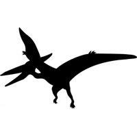 Rienda Libre Graphics - Decomural Pterodactyl Dinosaur Kids Ws-50424