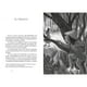 thumbnail image 3 of Mitos y leyendas de Chile, 3 of 4