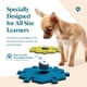 thumbnail image 3 of Juego de botones parlantes FluentPet, kit de inicio para mascotas, 3 of 3