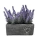 thumbnail image 1 of Planta Artificial Morada Macetero Ceramica Rectangular Gris, 1 of 7