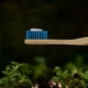 thumbnail image 4 of Cepillo Dental Biodegradable Dental Azul Biobrush 1 Un Biobrush, 4 of 4
