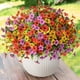 thumbnail image 1 of Flores artificiales ZFProcess, plantas artificiales para exteriores, 12 paquetes, 1 of 9