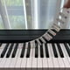 thumbnail image 1 of Piano Notes Guide For Beginner, Removable Piano Keyboard Note Labels For Learning, Made Of Silicone, No Need Stickers, Reusable Piano Key Letter (Rainbow Colors,Black, 61 Keys ), 1 of 4