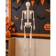thumbnail image 1 of Adorno Esqueleto Decorativo Articulado Halloween 90 cm, 1 of 8
