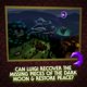 thumbnail image 4 of Videojuego Nintendo Switch Luigi's Mansion 2 HD, 4 of 6