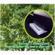 thumbnail image 3 of Ambientador YirehStore TreeFrog Black Squash, paquete de 5, 3 of 4