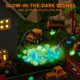 thumbnail image 2 of Kits Sensory Bin Construction Site Klever Kits que brillan en la oscuridad, 2 of 8