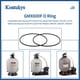 thumbnail image 2 of Anillo tórico Koatukys GMX600F para filtros Hayward Pro Series, 2 of 7