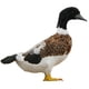 thumbnail image 1 of Animal Artificial Realista Mini Decoración De Jardín Emplumada Figura Pato, 1 of 3
